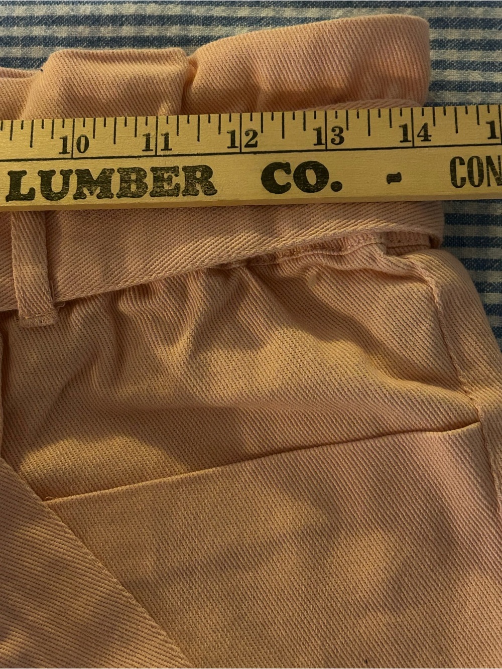 Seashell Pink Paper Bag Ankle Pants Forever 21 New With Tags Size Small - Picture 6 of 8